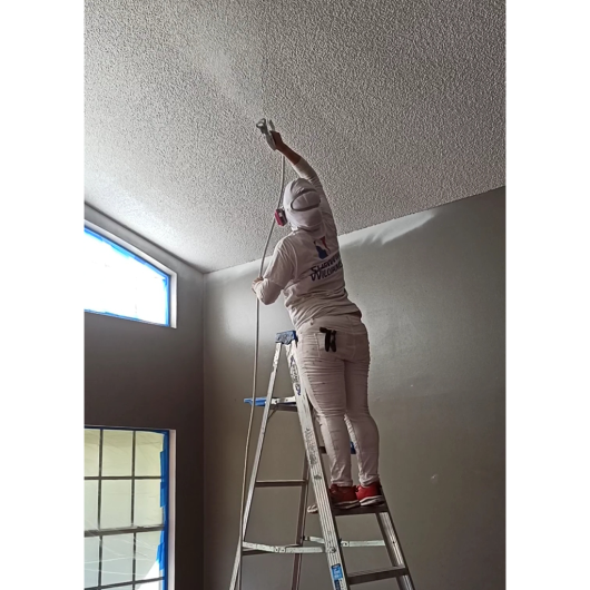 Painting-walls-and-ceiling-whith-rollers-and-sprayer-pb-oct-21-4